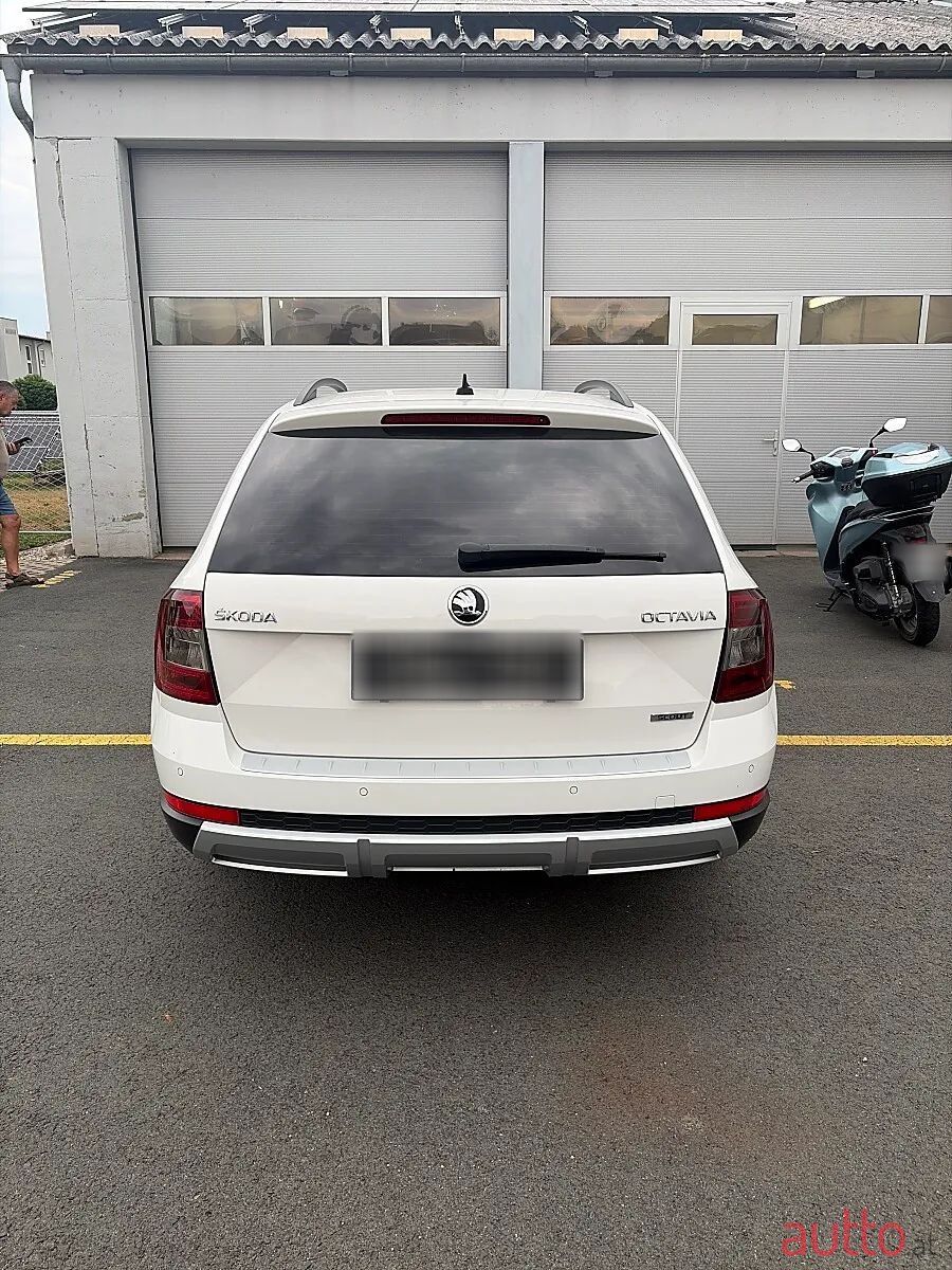 2017' Skoda Octavia photo #5