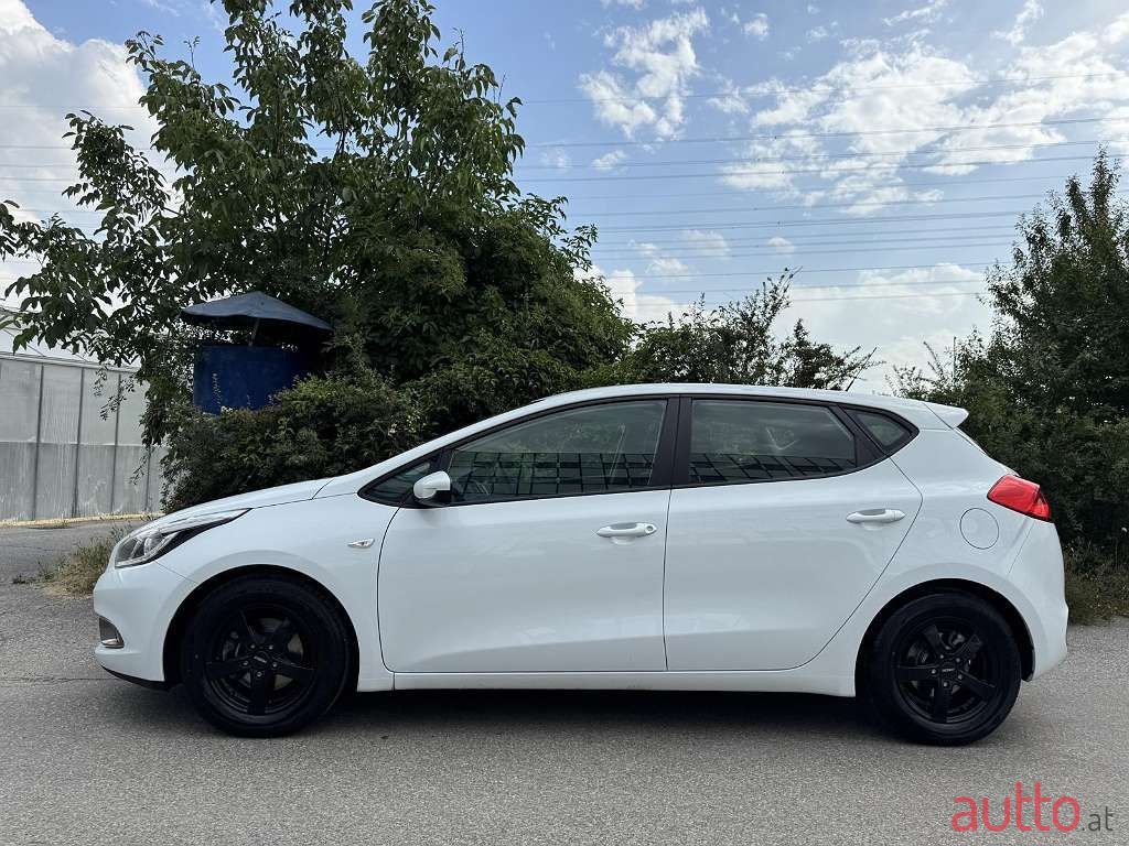 2014' Kia Ceed photo #5