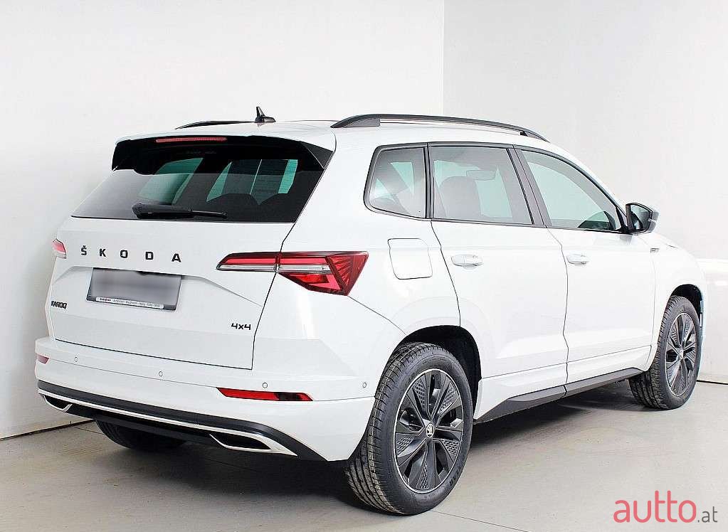 2023' Skoda Karoq photo #2