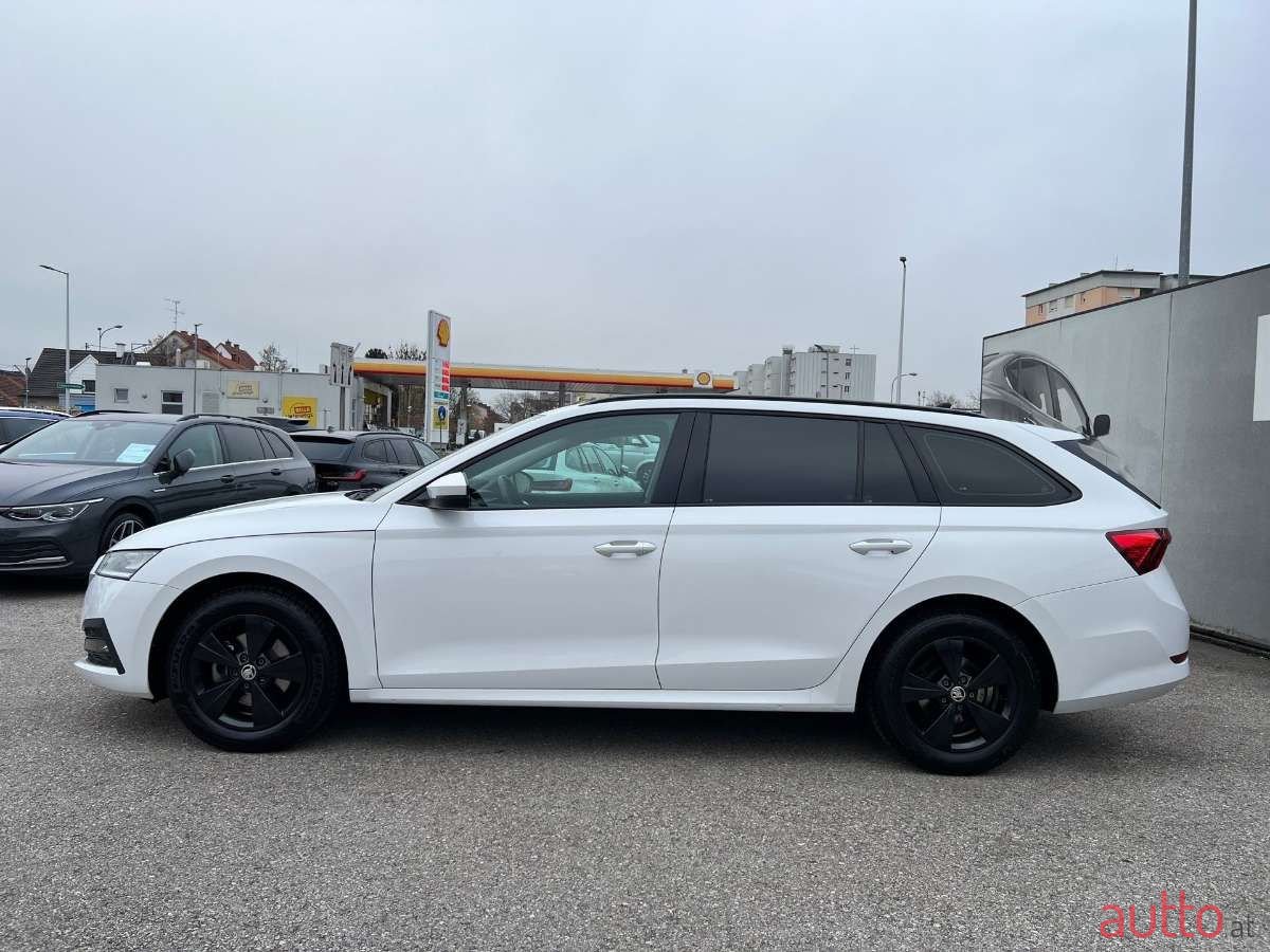 2021' Skoda Octavia photo #6