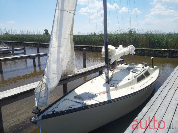 2013' Falcon photo #1