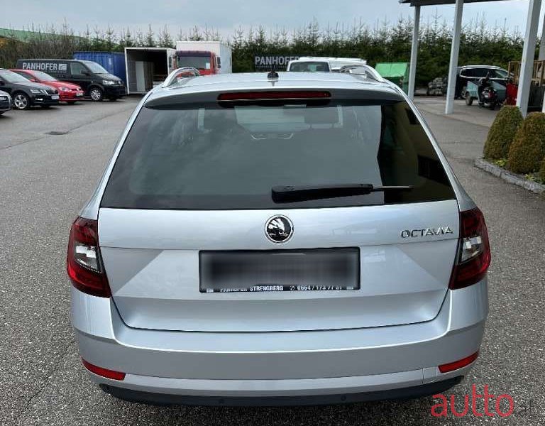 2019' Skoda Octavia photo #6