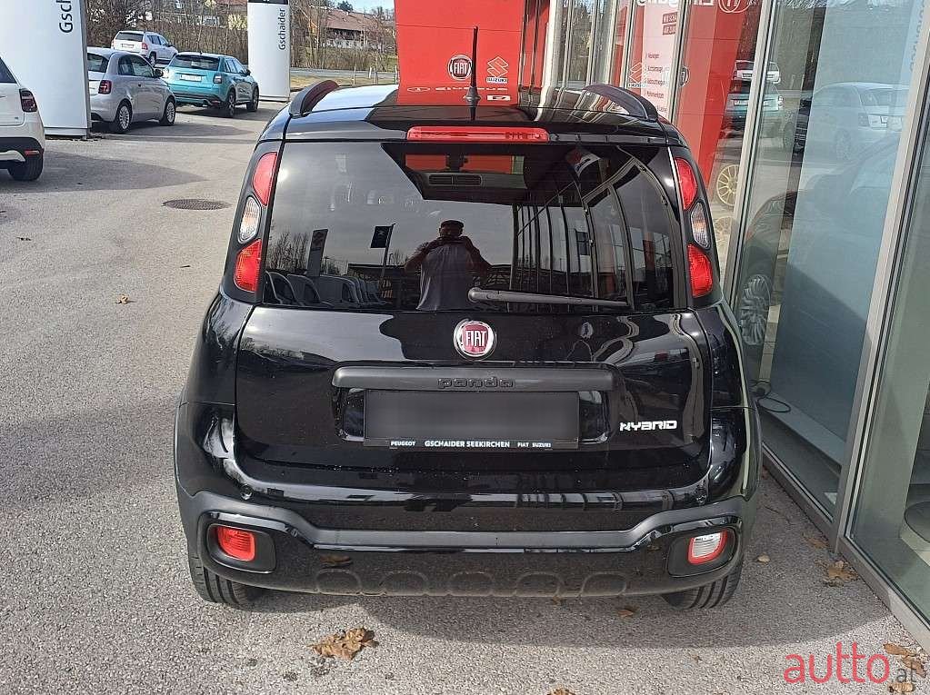 2020' Fiat Panda photo #5