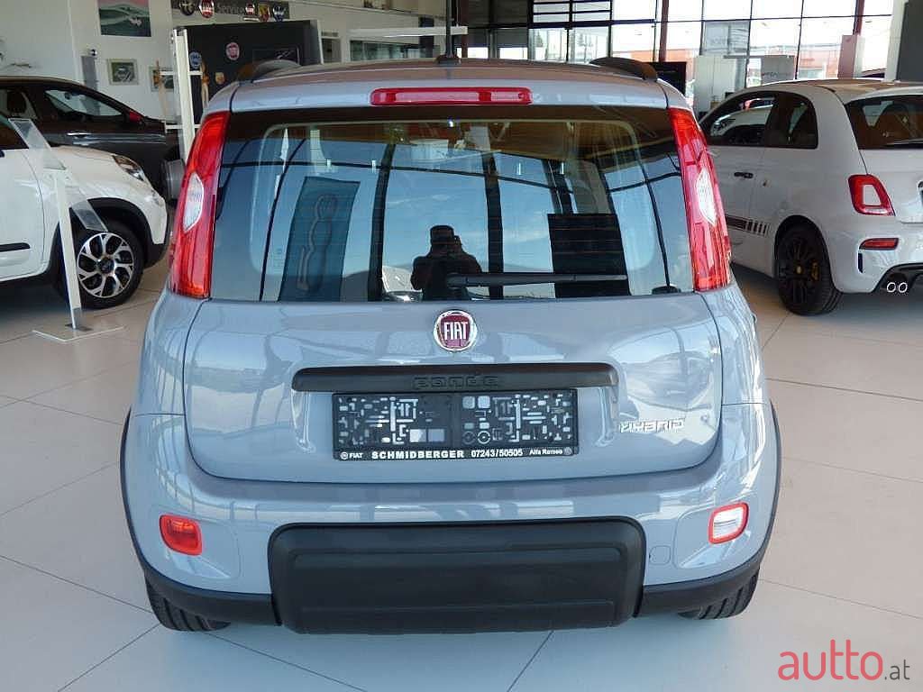 2008' Fiat Panda photo #4