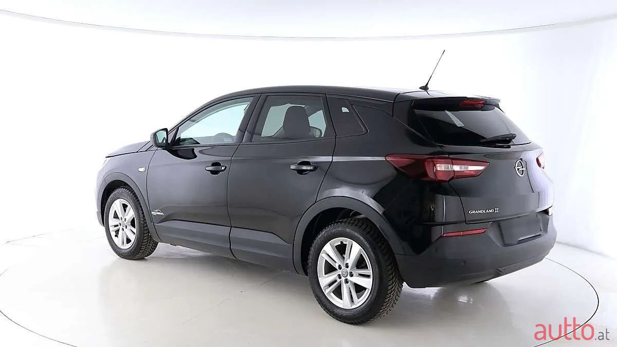 2019' Opel Grandland X photo #3