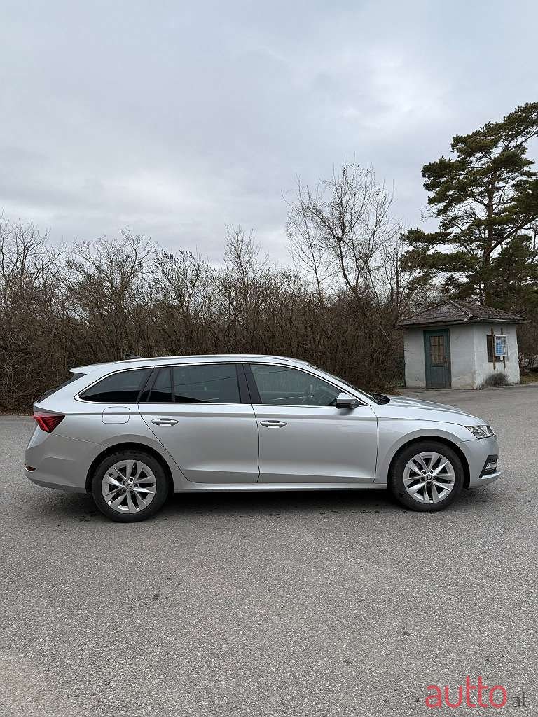 2023' Skoda Octavia photo #6