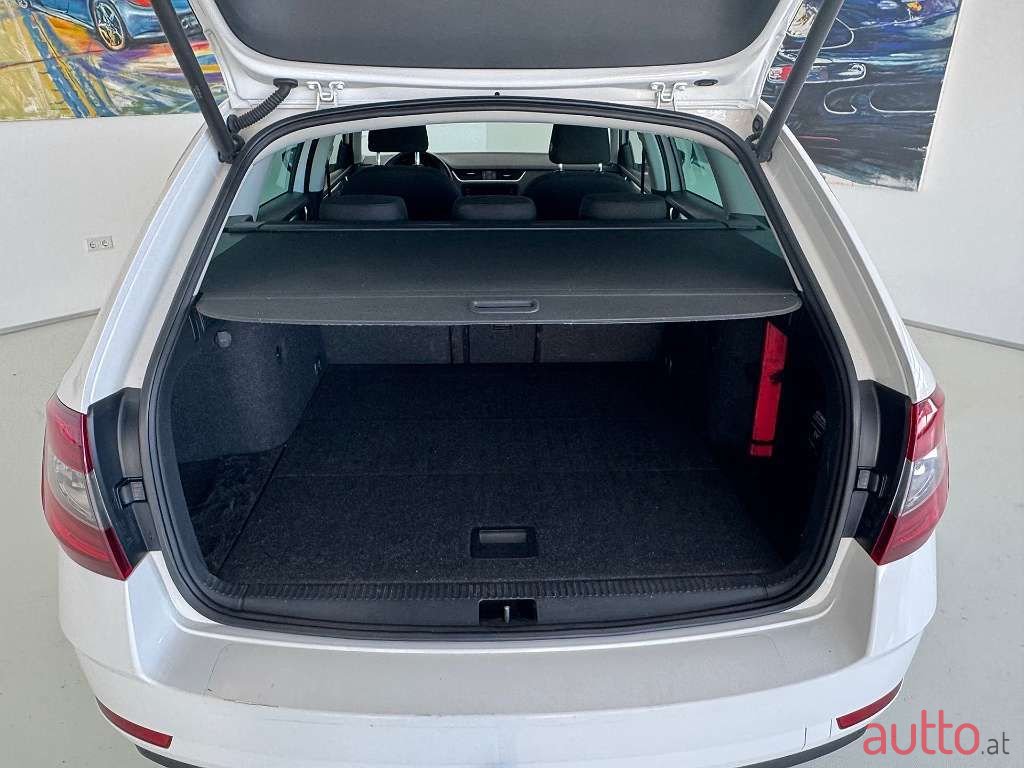 2019' Skoda Octavia photo #6