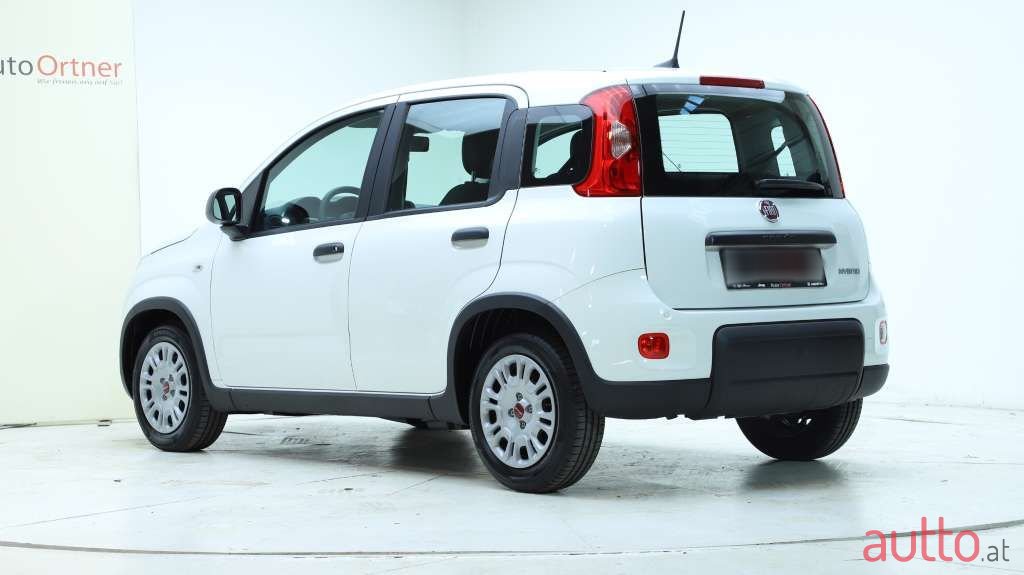 2024' Fiat Panda photo #4