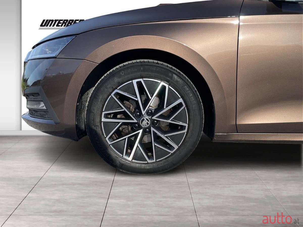 2021' Skoda Octavia photo #6