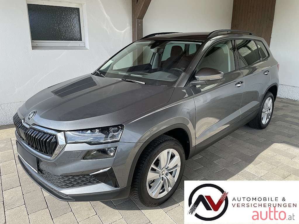 2024' Skoda Karoq photo #1