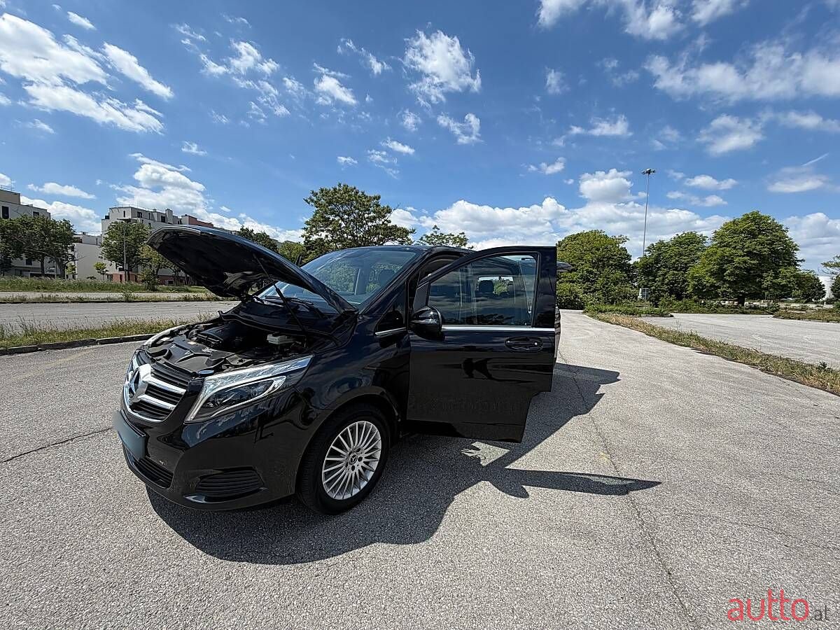 2019' Mercedes-Benz V-Klasse photo #1