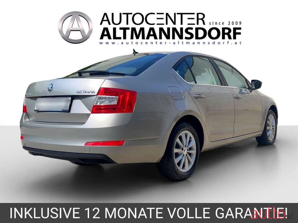 2013' Skoda Octavia photo #2