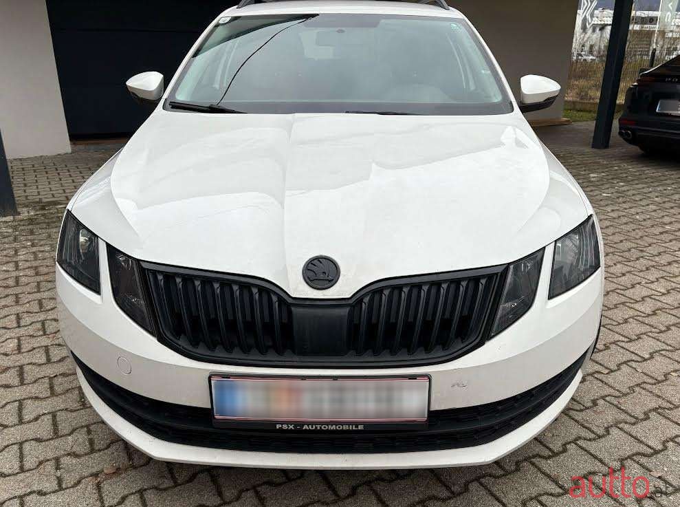 2019' Skoda Octavia photo #2