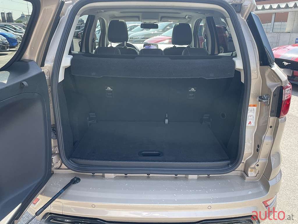 2018' Ford EcoSport photo #6