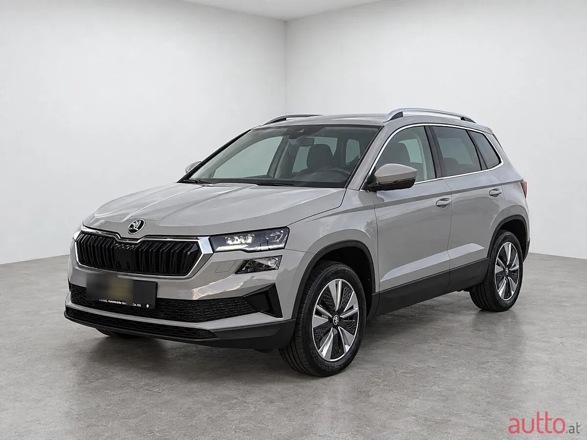 2023' Skoda Karoq photo #1