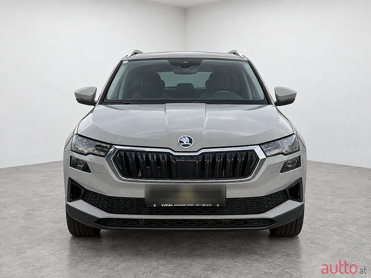 2023' Skoda Karoq photo #2