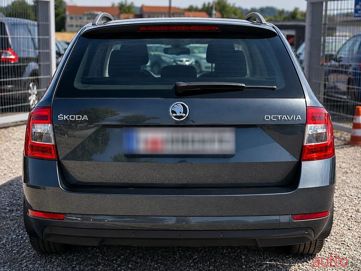 2018' Skoda Octavia photo #4