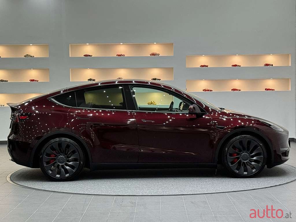 2023' Tesla Model Y photo #1