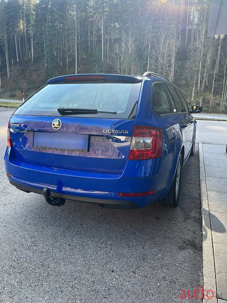 2019' Skoda Octavia photo #5