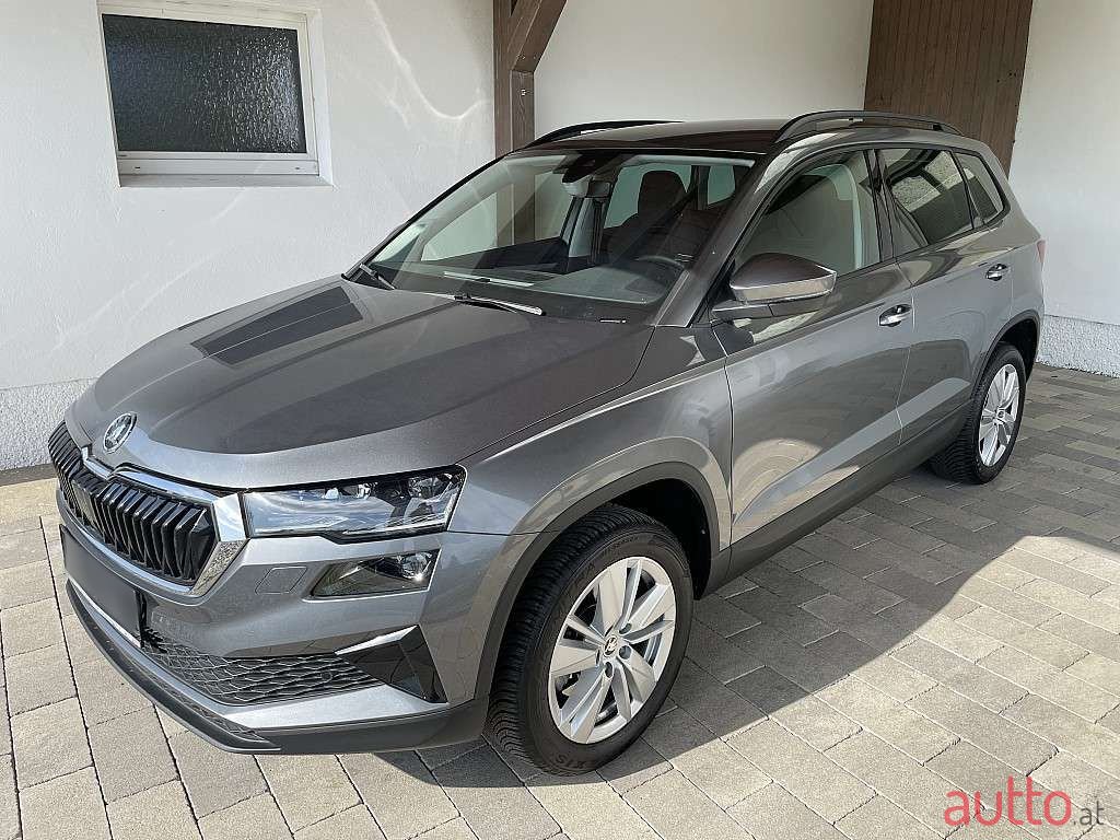 2024' Skoda Karoq photo #2