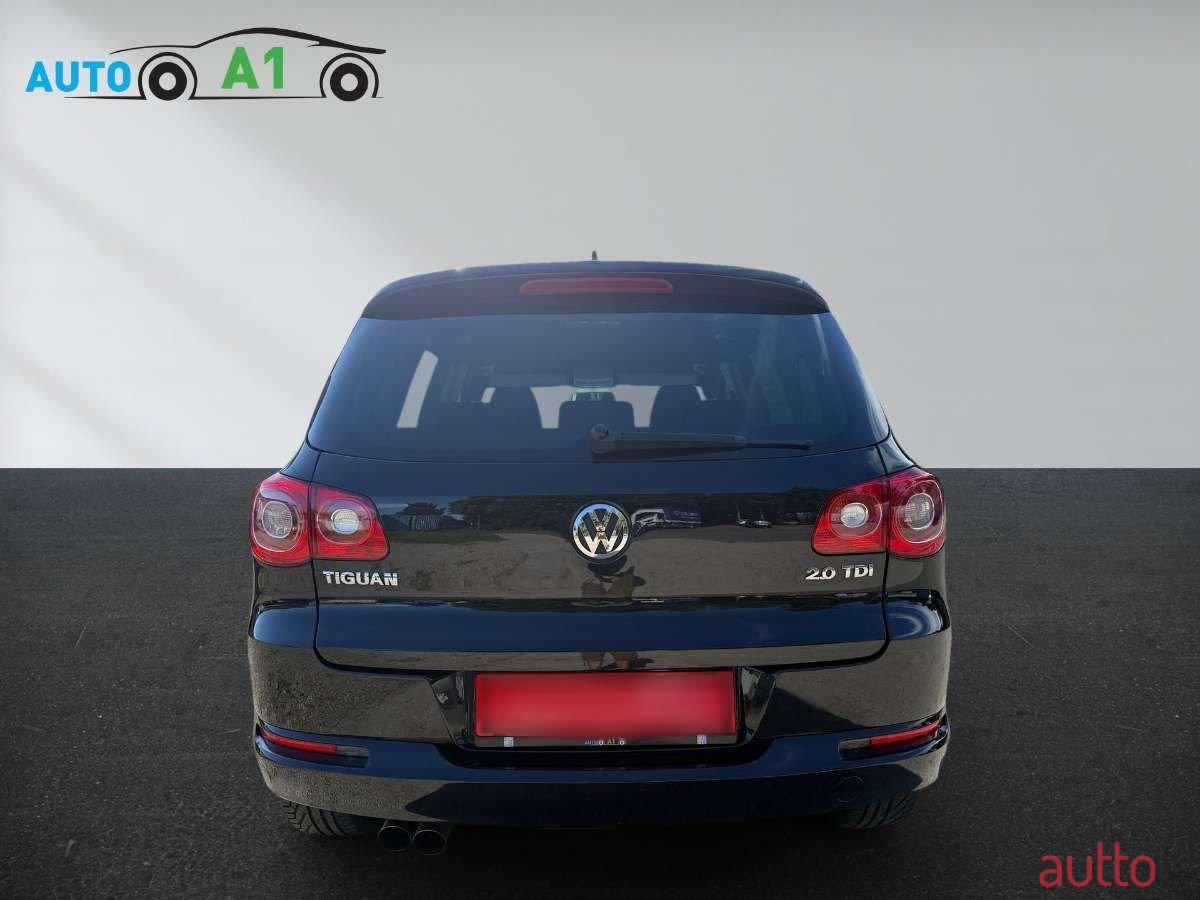 2009' Volkswagen Tiguan photo #6