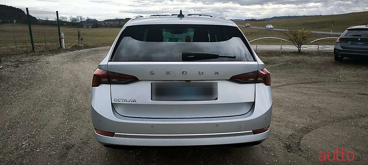 2020' Skoda Octavia photo #3