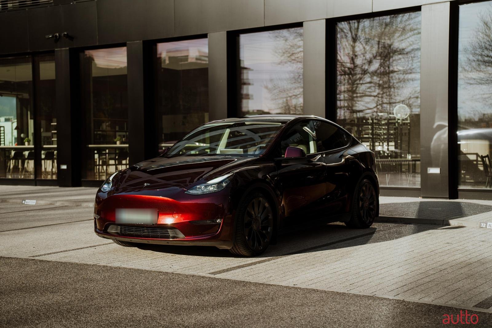 2023' Tesla Model Y Performance photo #1