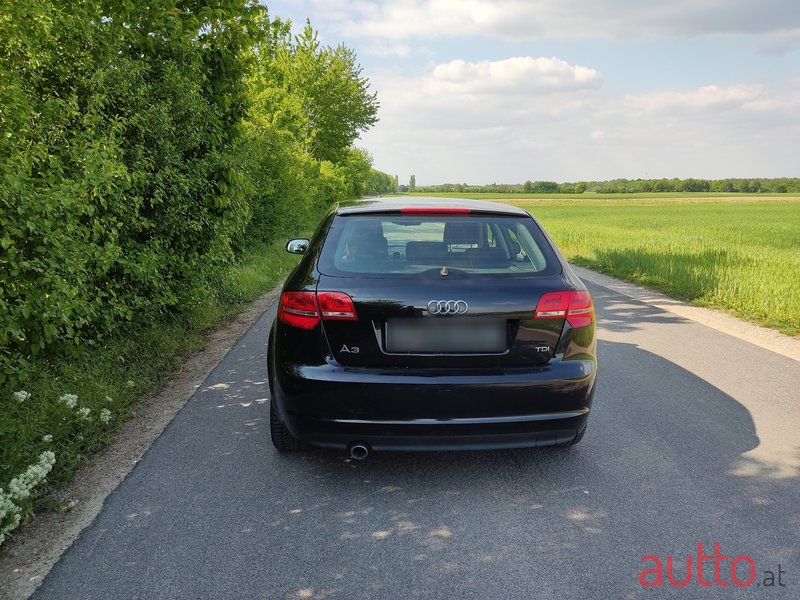 2011' Audi A3 photo #2