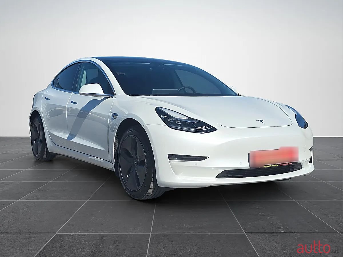 2020' Tesla Model 3 photo #2