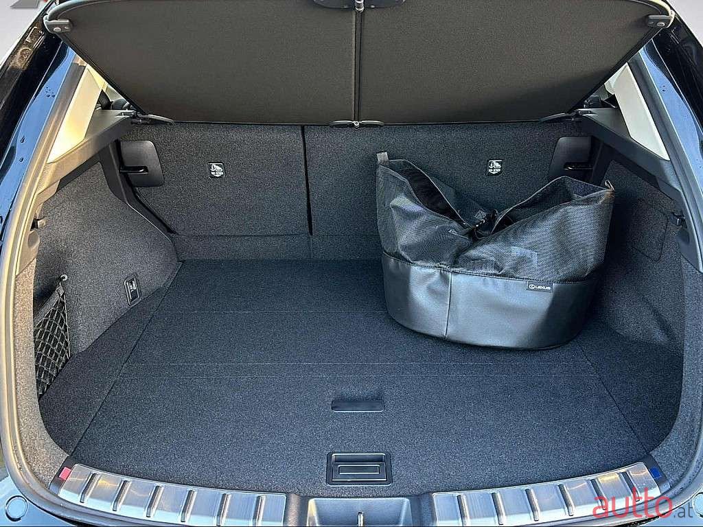 2024' Lexus NX photo #5