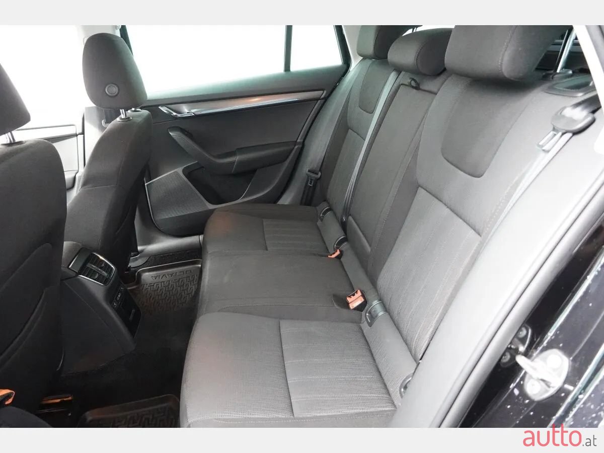 2019' Skoda Octavia photo #4
