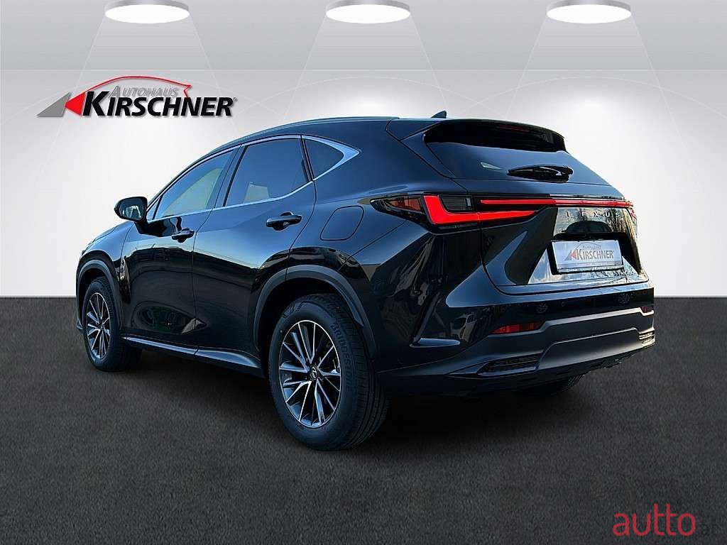 2024' Lexus NX photo #3