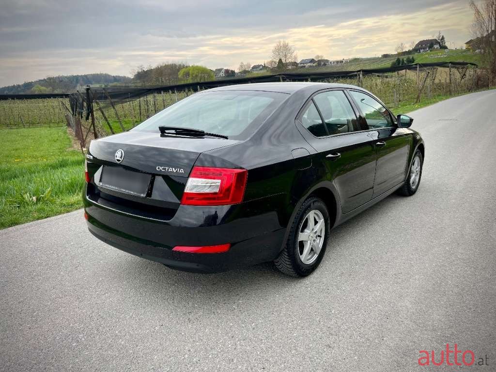 2017' Skoda Octavia photo #4