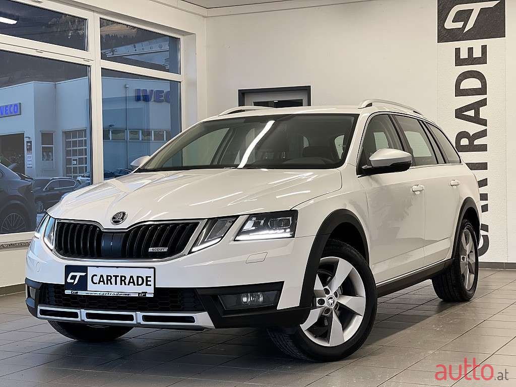 2019' Skoda Octavia photo #1