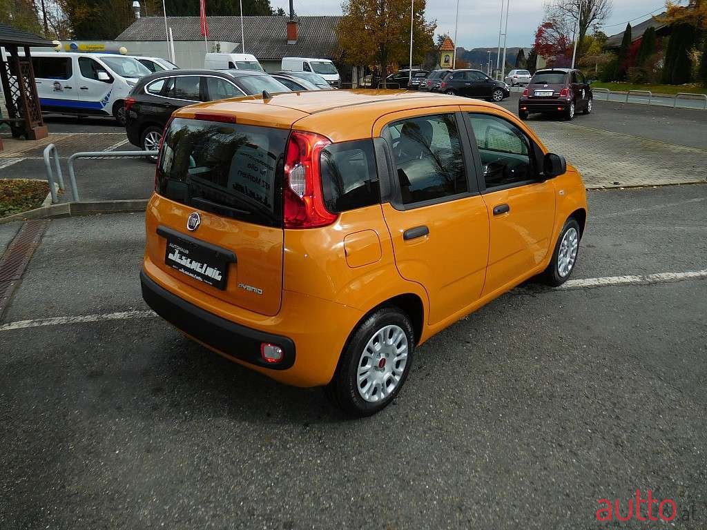 2021' Fiat Panda photo #3