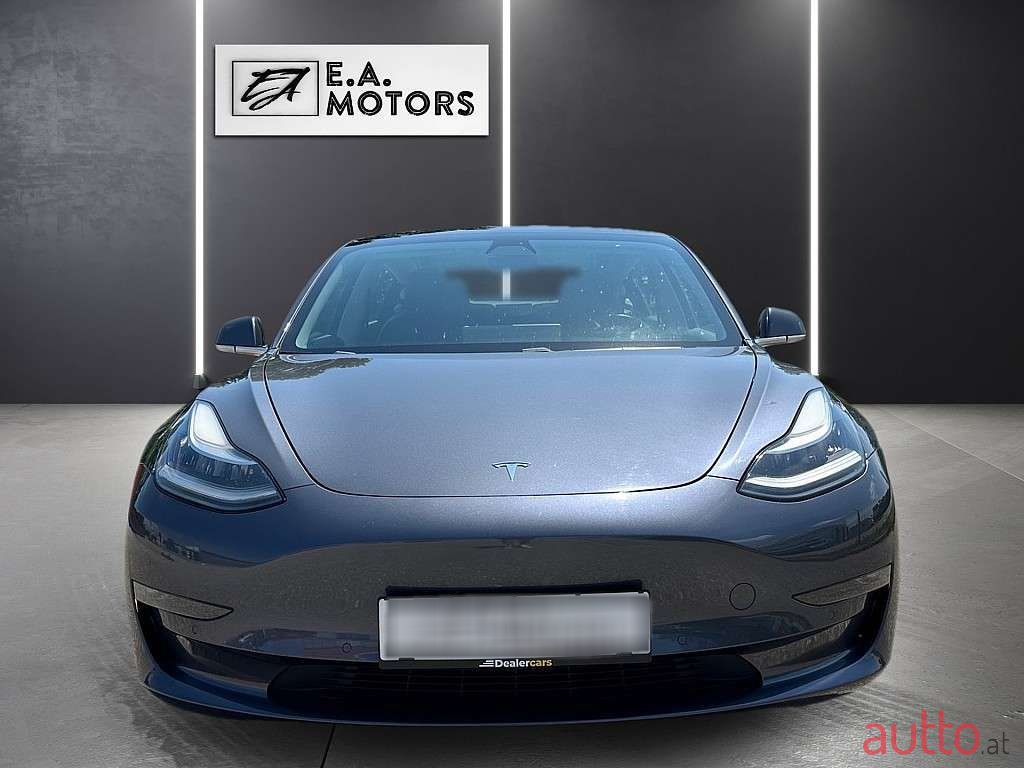 2019' Tesla Model 3 photo #2