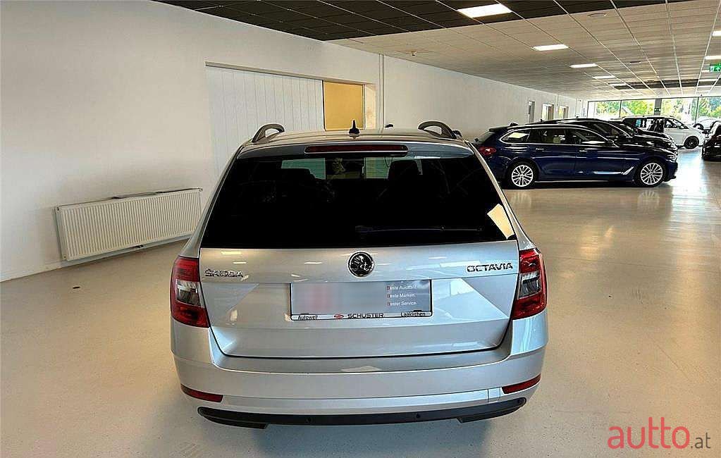 2019' Skoda Octavia photo #5