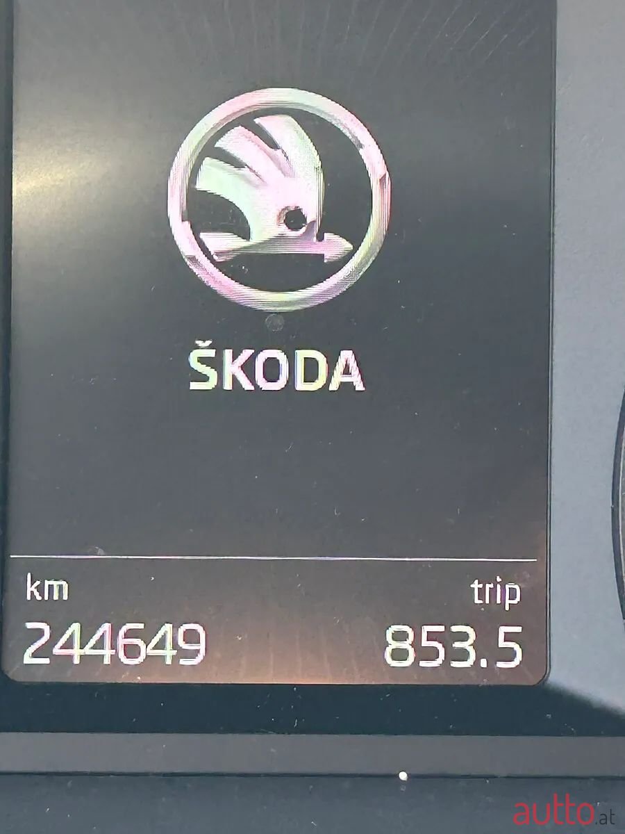 2014' Skoda Octavia photo #4
