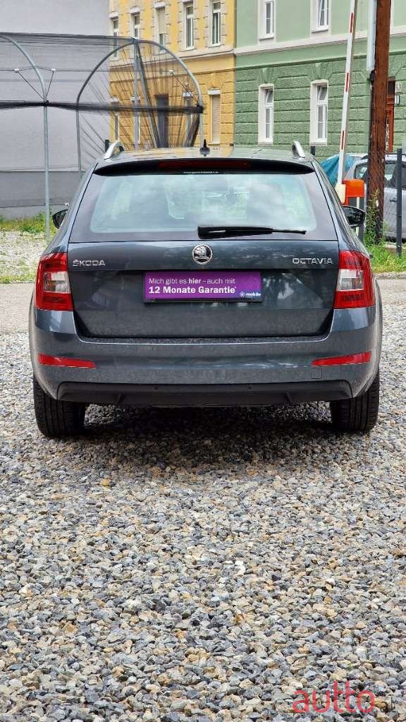 2016' Skoda Octavia photo #6