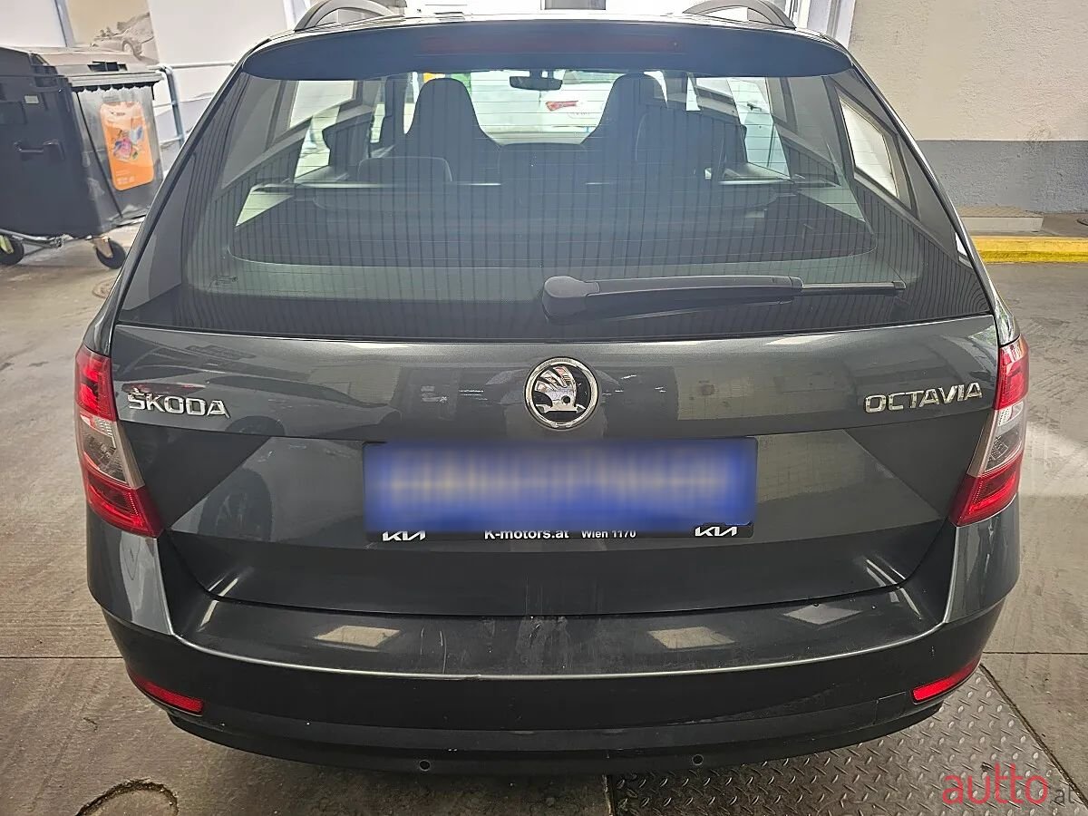 2017' Skoda Octavia photo #6