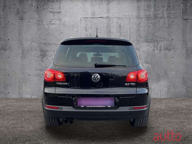 2010' Volkswagen Tiguan photo #6