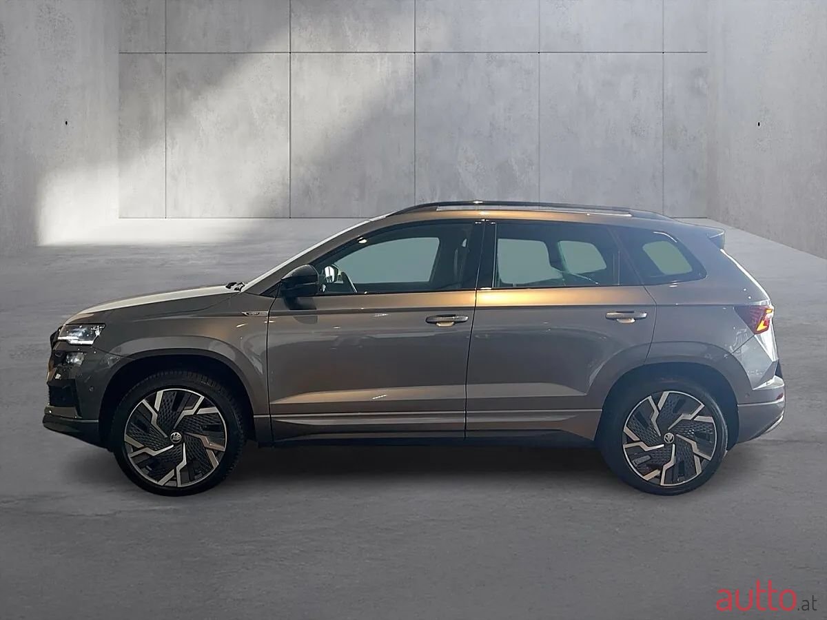 2023' Skoda Karoq photo #2
