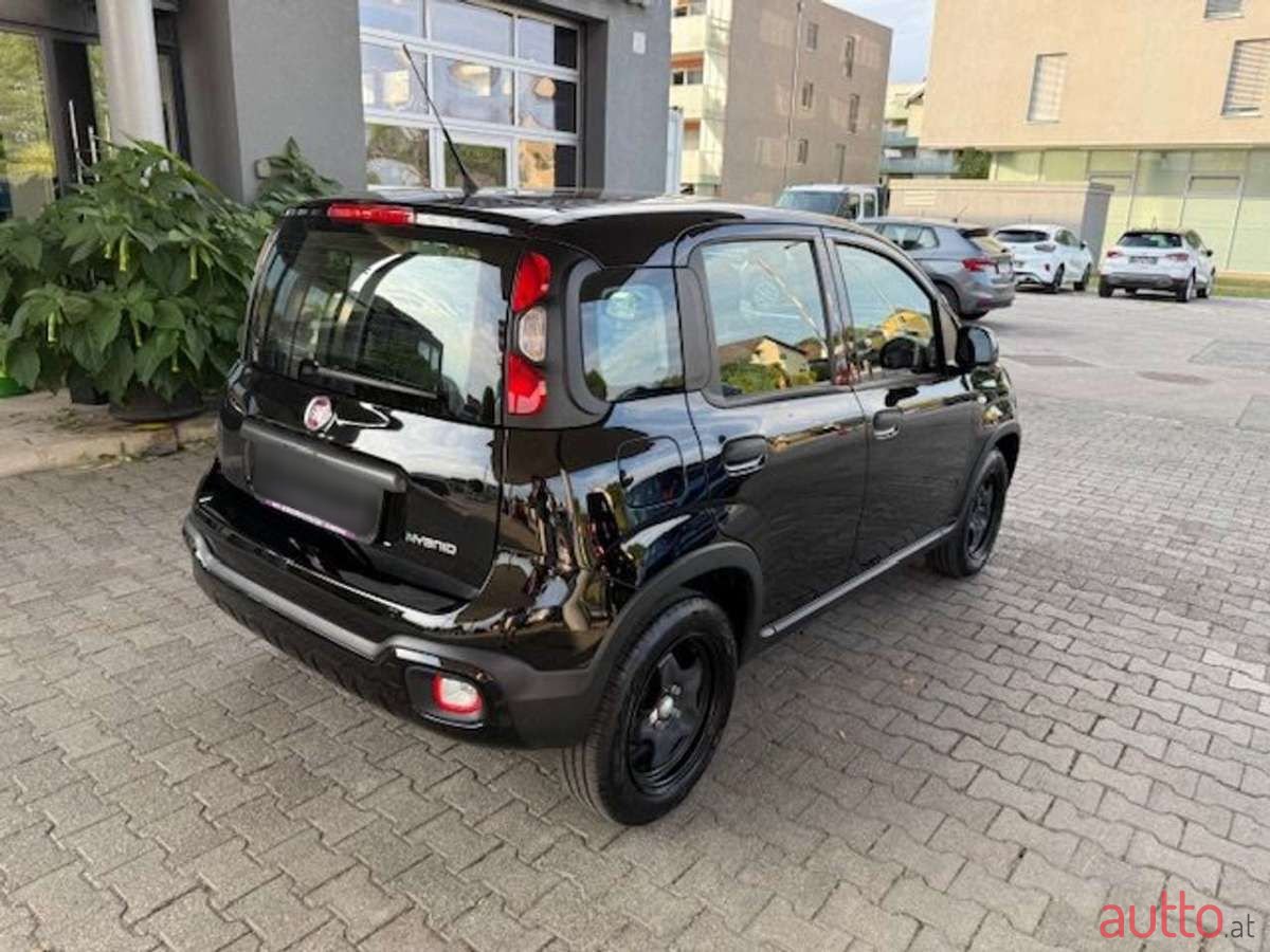 2023' Fiat Panda photo #5