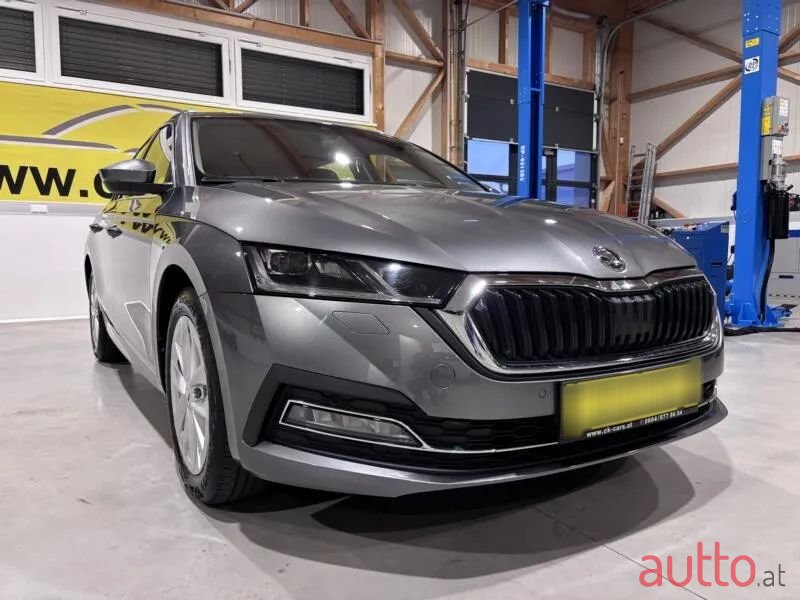 2023' Skoda Octavia photo #6