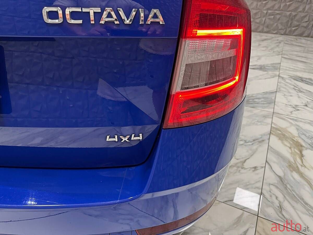 2018' Skoda Octavia photo #5