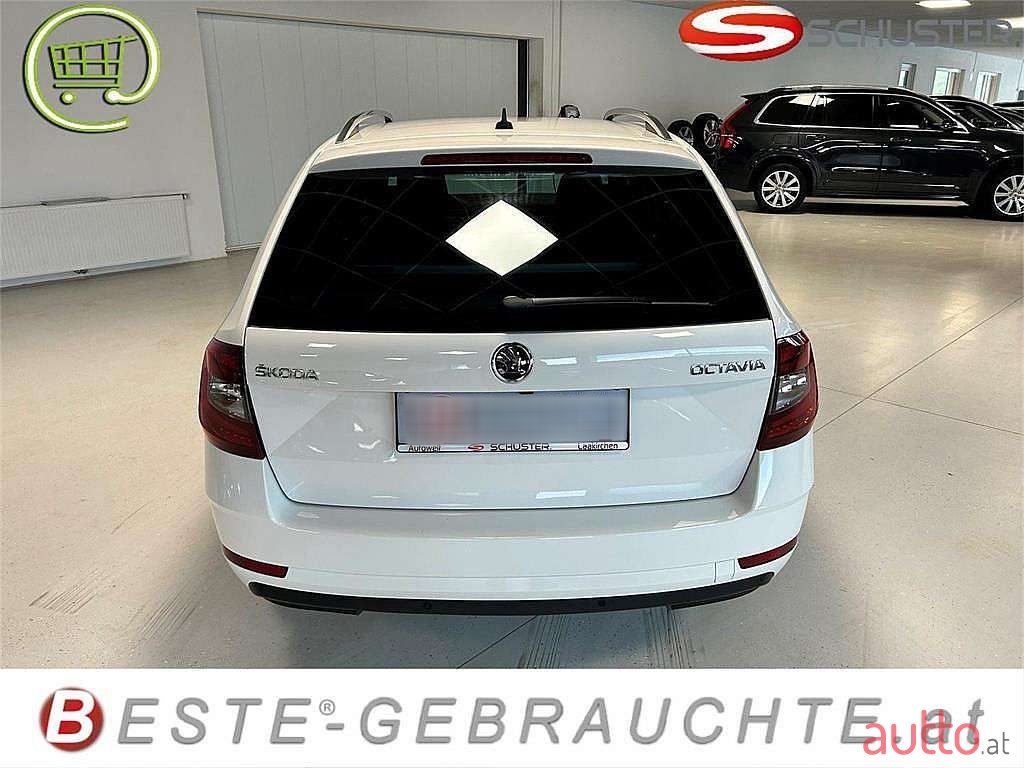 2019' Skoda Octavia photo #4