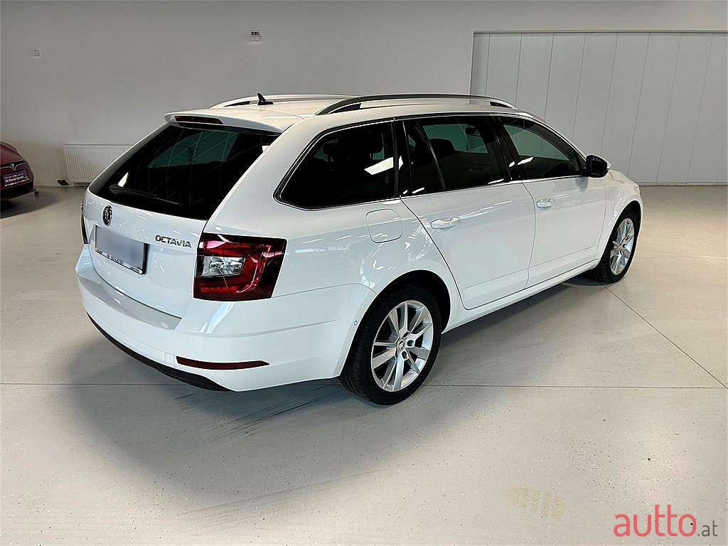 2019' Skoda Octavia photo #5