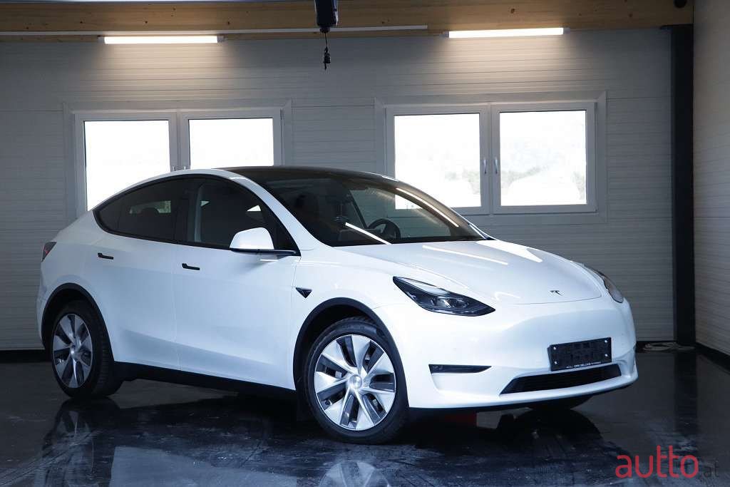 2021' Tesla Model Y photo #1