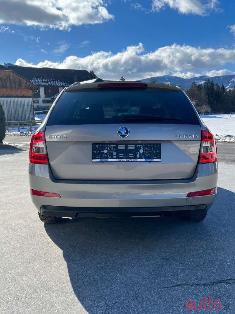 2017' Skoda Octavia photo #2