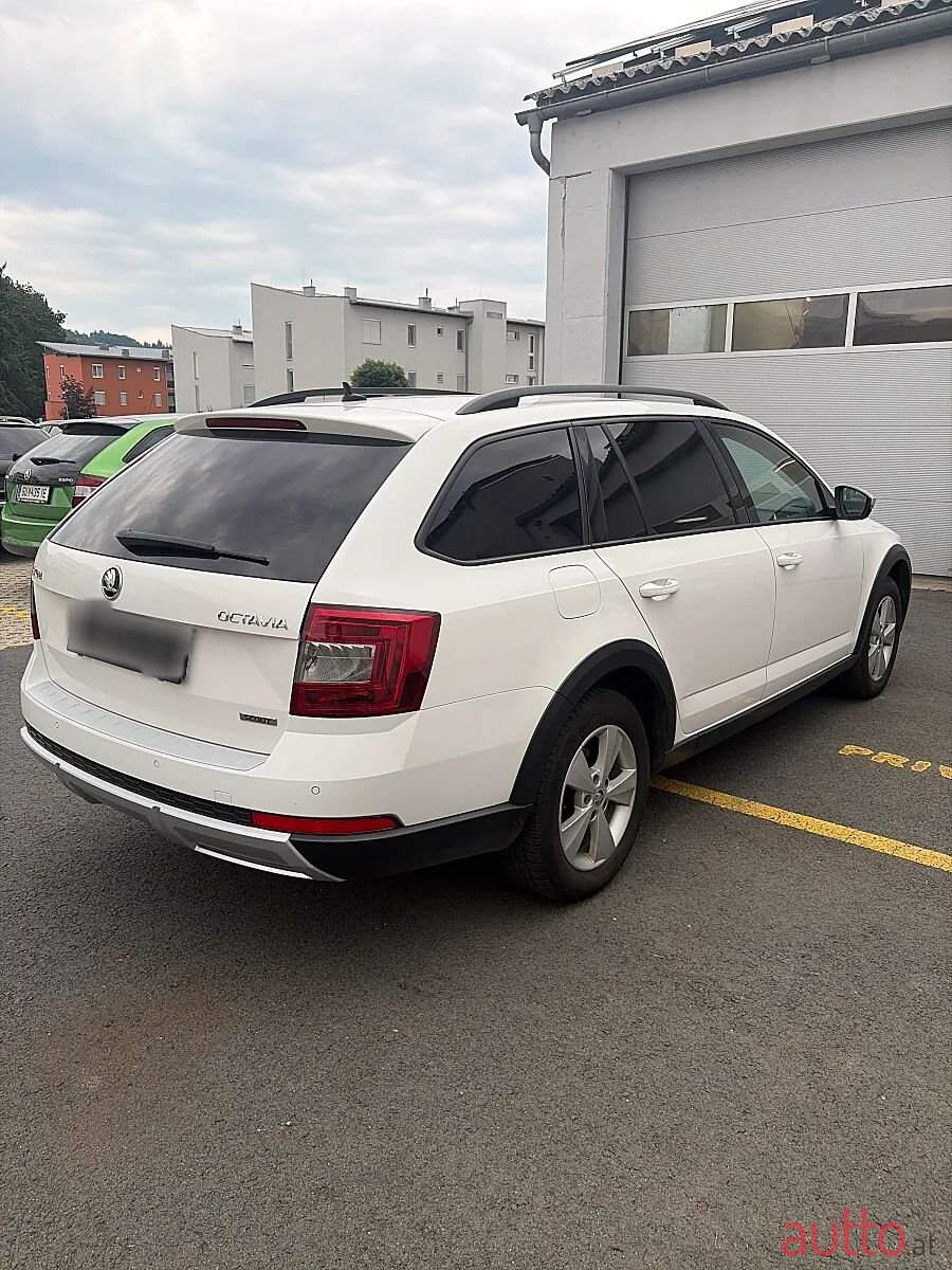 2017' Skoda Octavia photo #4